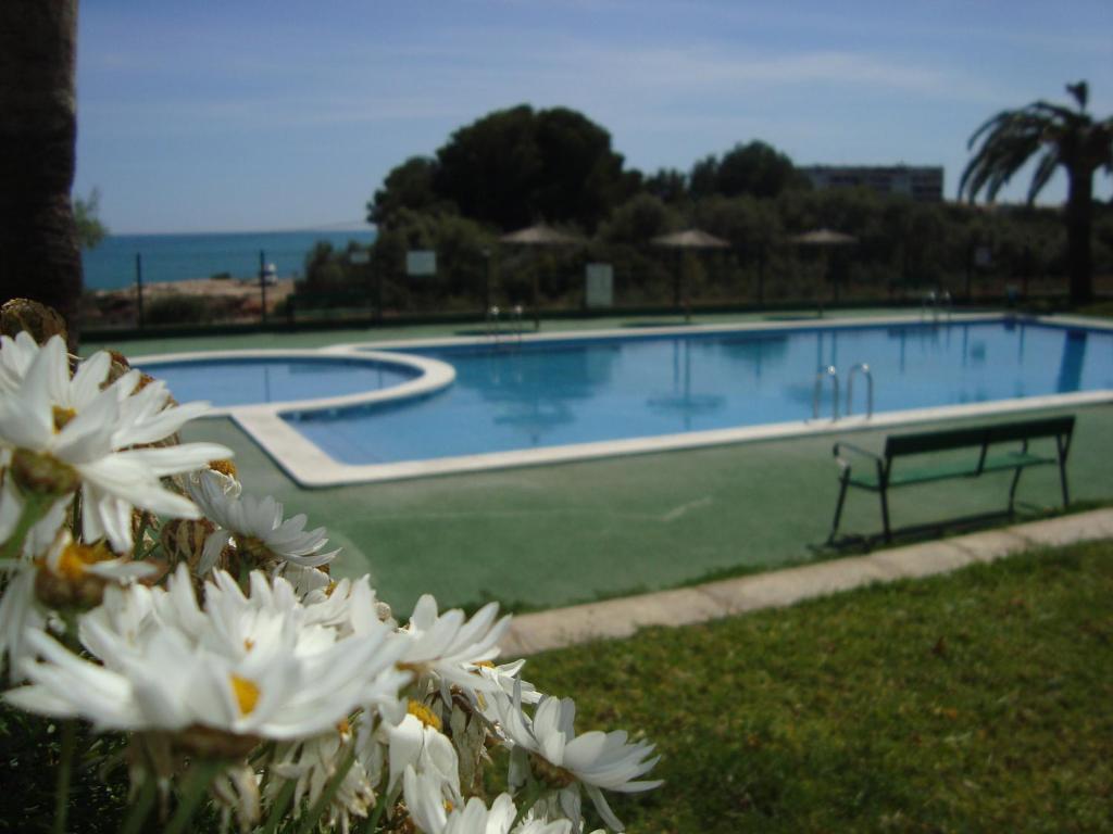 Alpen1 Residencial Finca Del Moro Peniscola Room photo